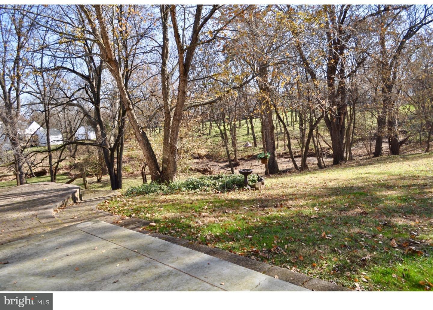 730 Thomas Jefferson Road Wayne, PA 19087 - Photo 10 of 10 Back Yard