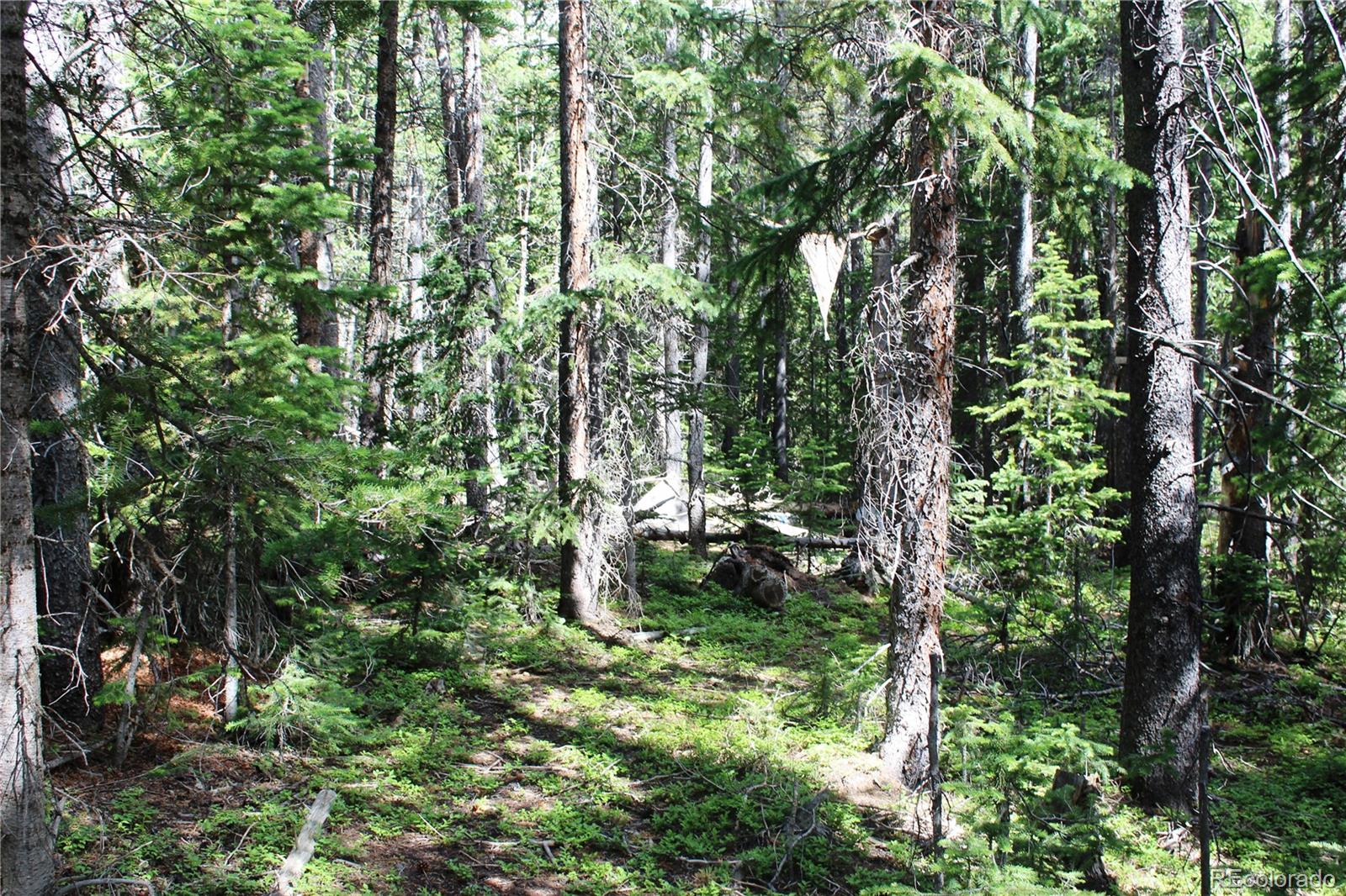 Lot 209 Lot Road Idaho Springs, CO 80452 - Photo 11 of 24