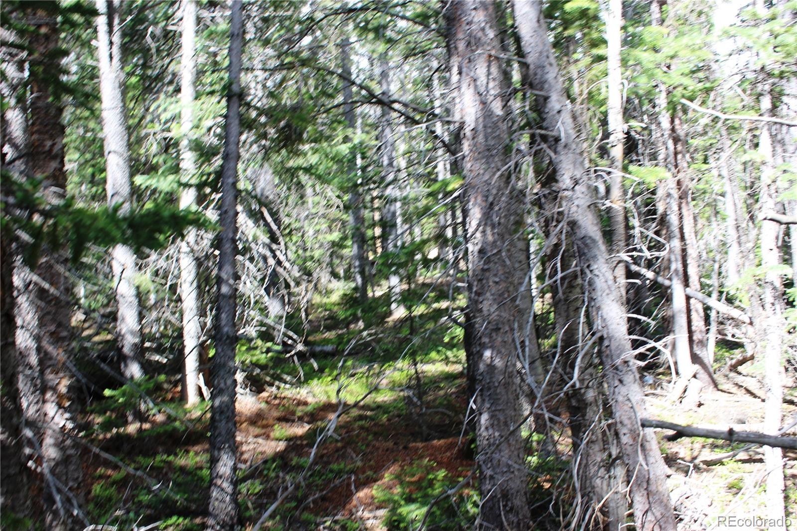 Lot 209 Lot Road Idaho Springs, CO 80452 - Photo 12 of 24