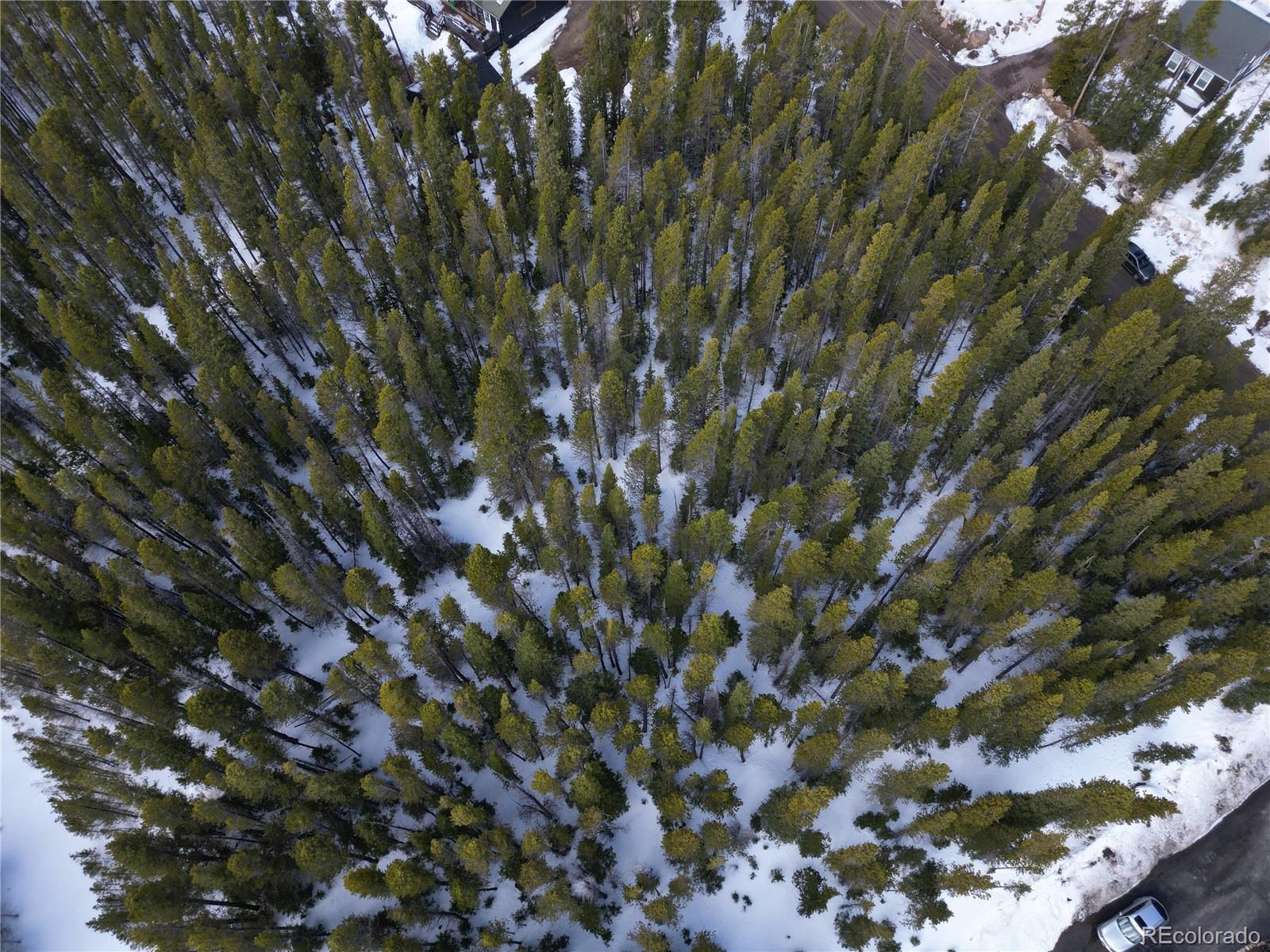 Lot 209 Lot Road Idaho Springs, CO 80452 - Photo 19 of 24