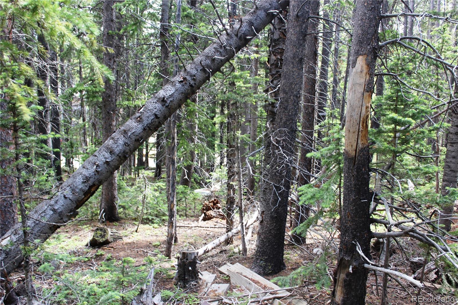 Lot 209 Lot Road Idaho Springs, CO 80452 - Photo 2 of 24