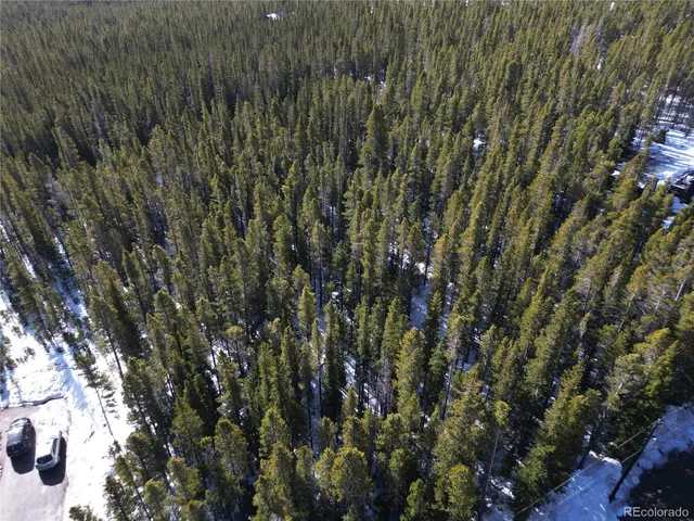 $66,500 | Lot 209 Lot Road, Idaho Springs, CO 80452
