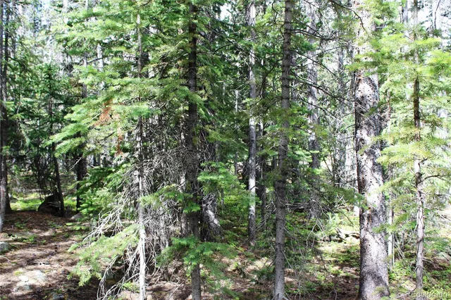 $66,500 | Lot 209 Lot Road, Idaho Springs, CO 80452