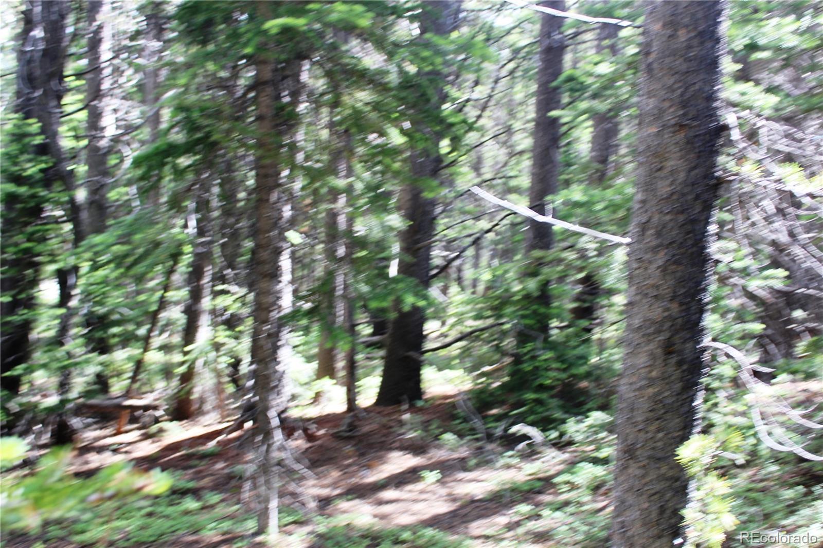 Lot 209 Lot Road Idaho Springs, CO 80452 - Photo 6 of 24