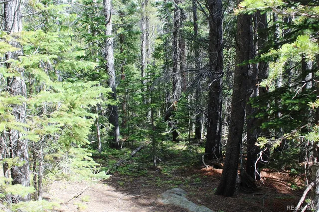 $66,500 | Lot 209 Lot Road, Idaho Springs, CO 80452