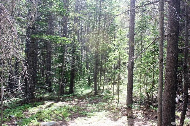 $66,500 | Lot 209 Lot Road, Idaho Springs, CO 80452