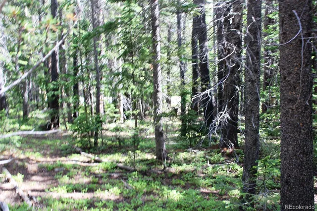 $66,500 | Lot 209 Lot Road, Idaho Springs, CO 80452