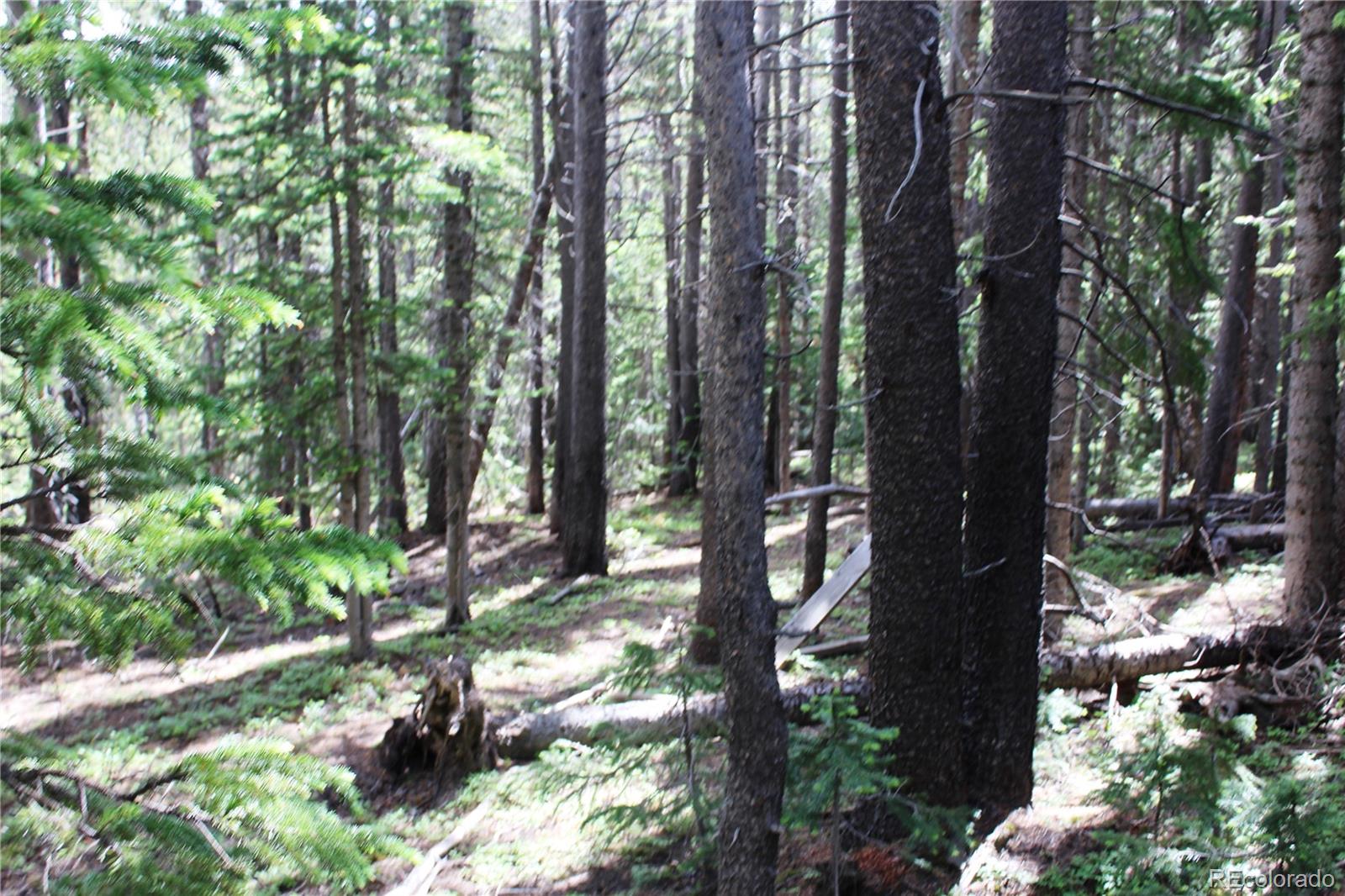 Lot 209 Lot Road Idaho Springs, CO 80452 - Photo 10 of 24