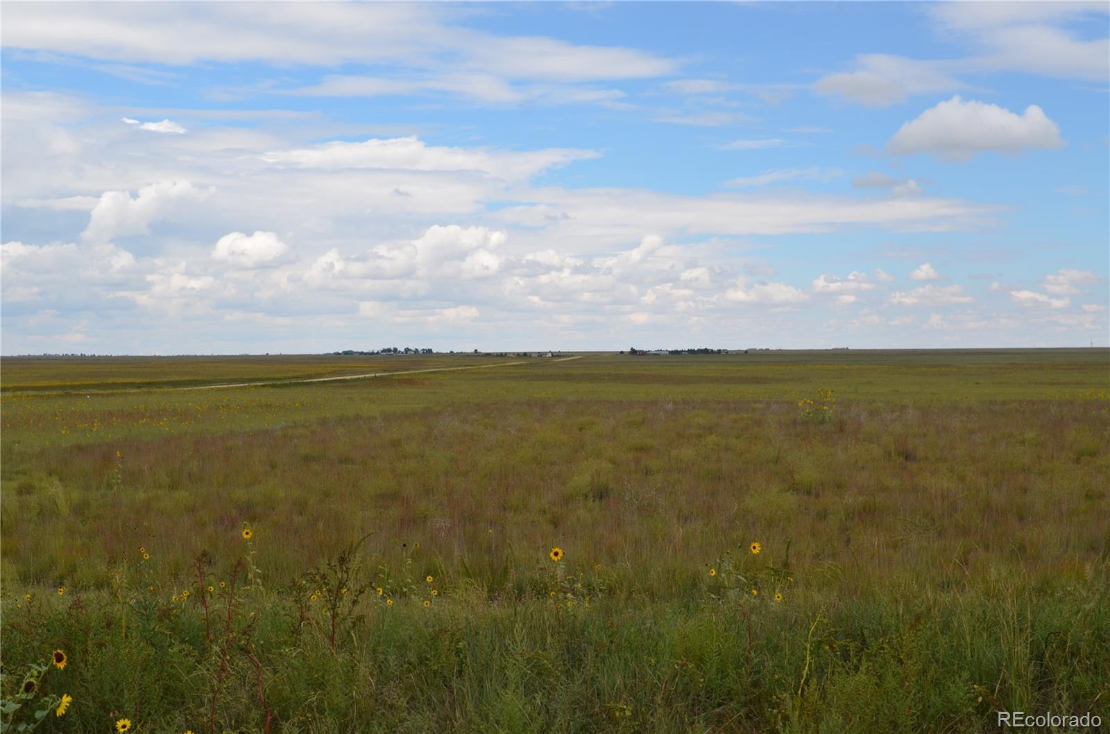 7 County Road Rush, CO 80833 - Photo 5 of 7 Gallery Image 5