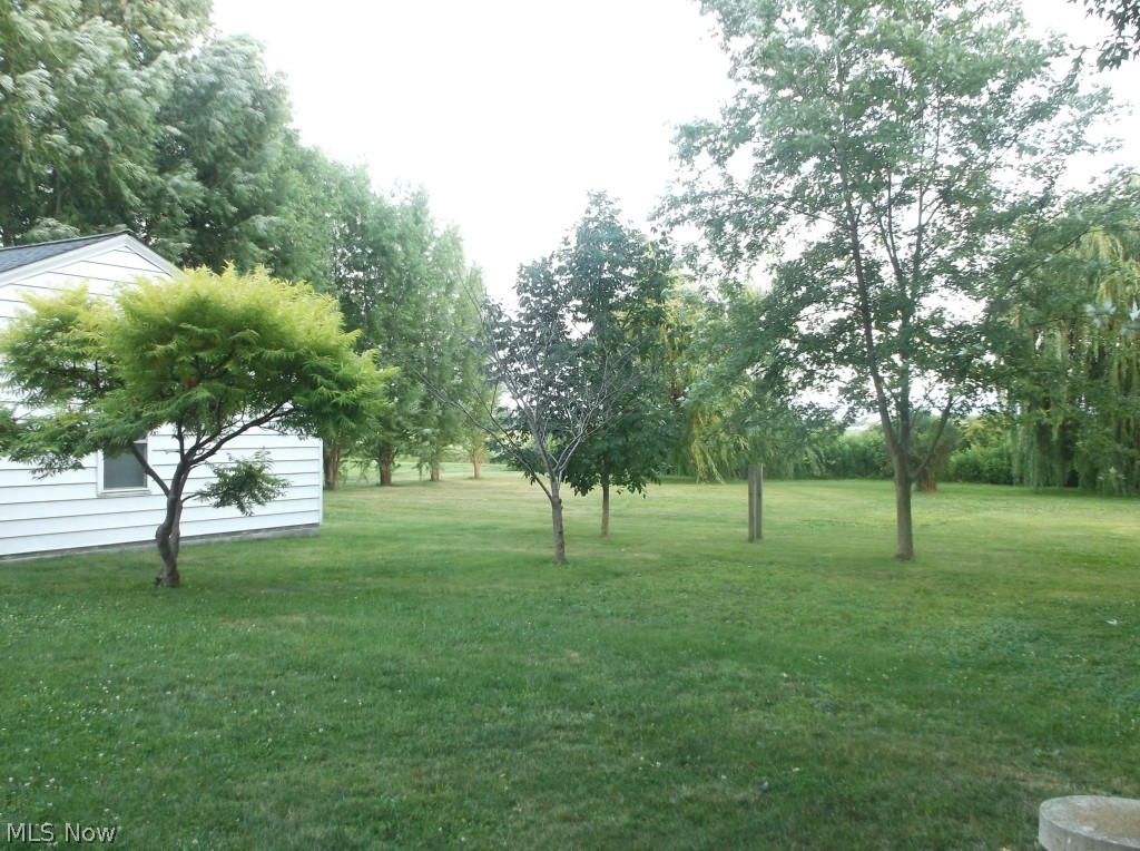 44175 Albrecht Road Elyria, OH 44035 - Photo 4 of 16 The large back yard is also peaceful and has a park like feel with the trees that surround it.