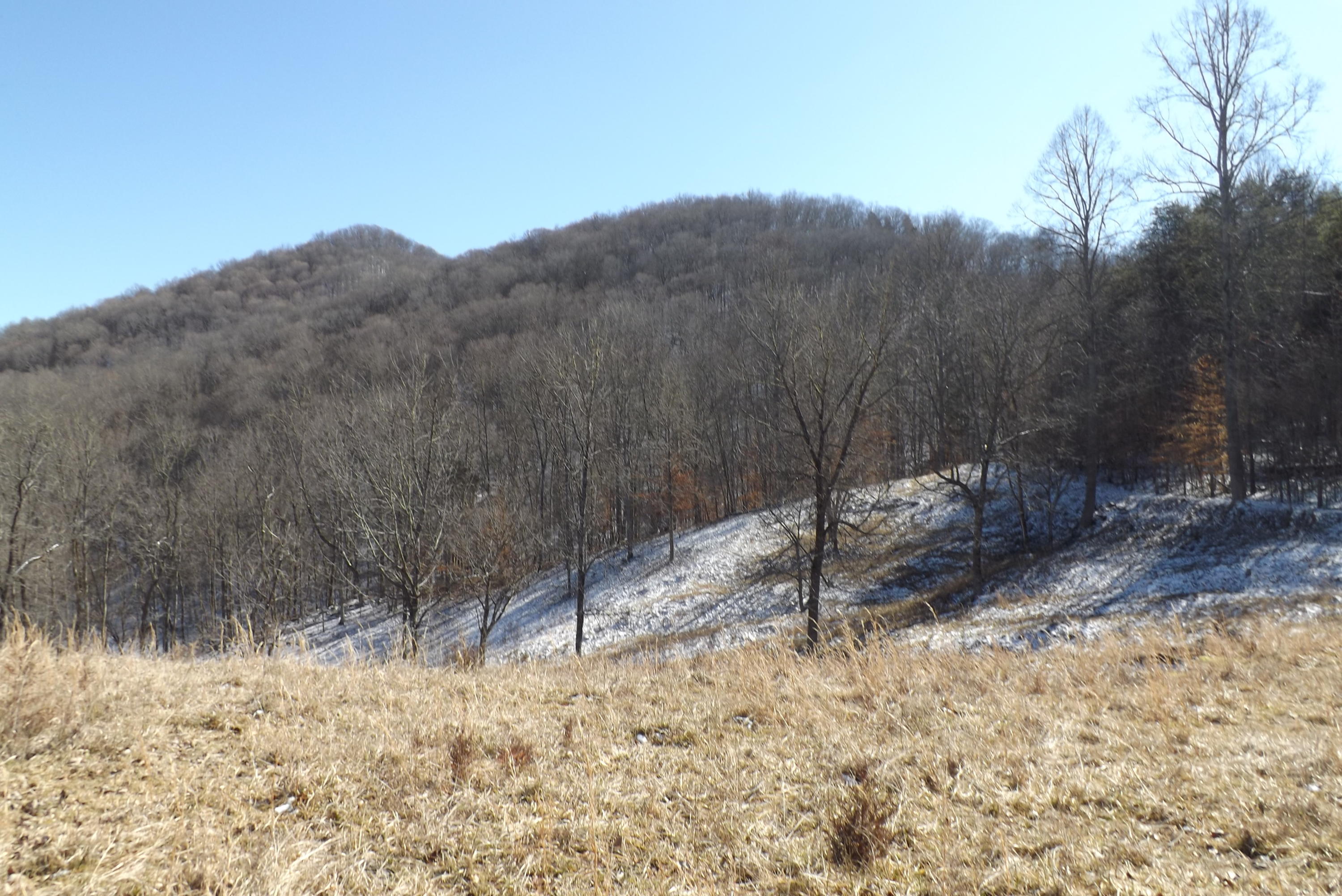 0 Alley Valley Road Gate City, VA 24251 - Photo 16 of 24 DSCF3014