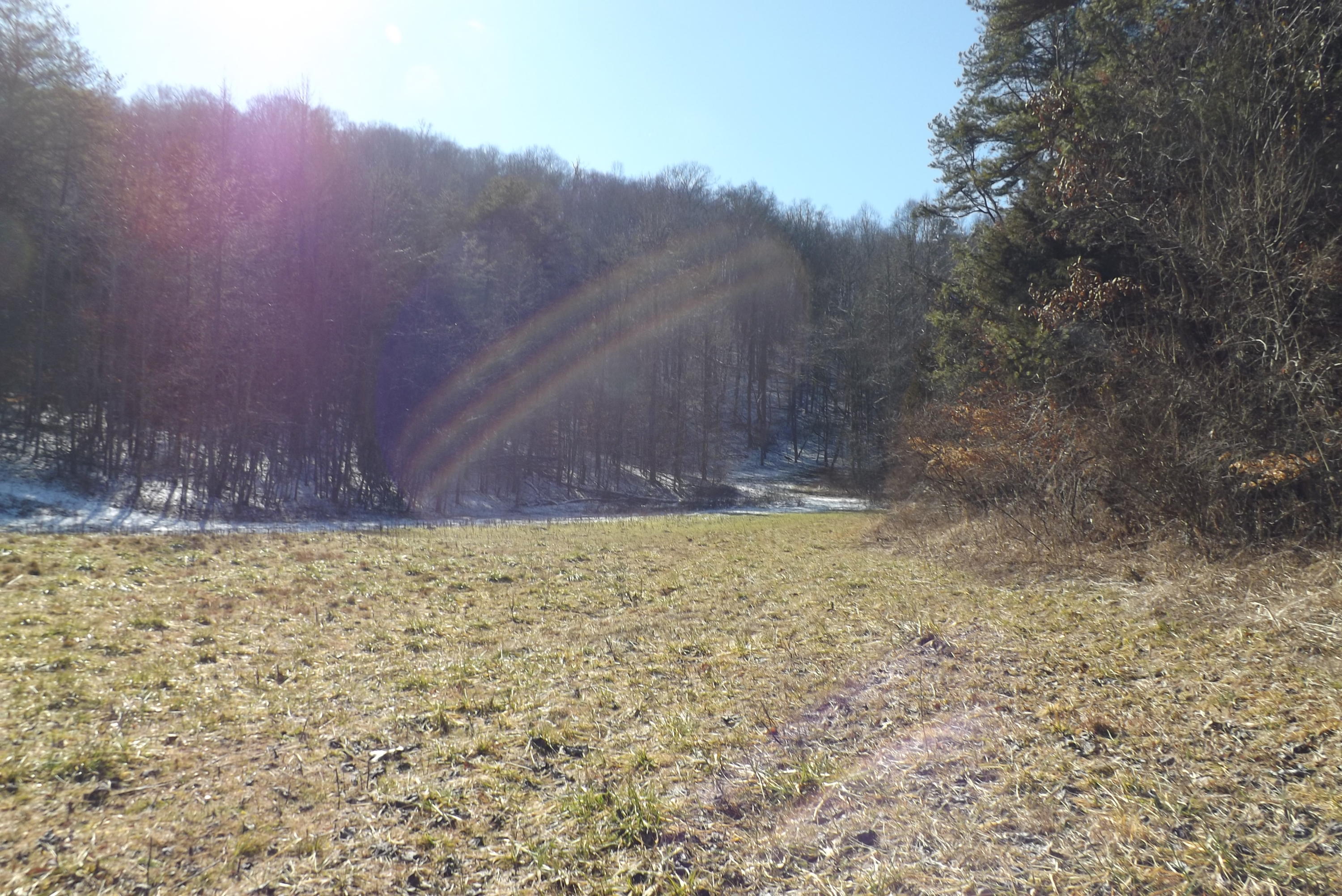 0 Alley Valley Road Gate City, VA 24251 - Photo 24 of 24 DSCF3022