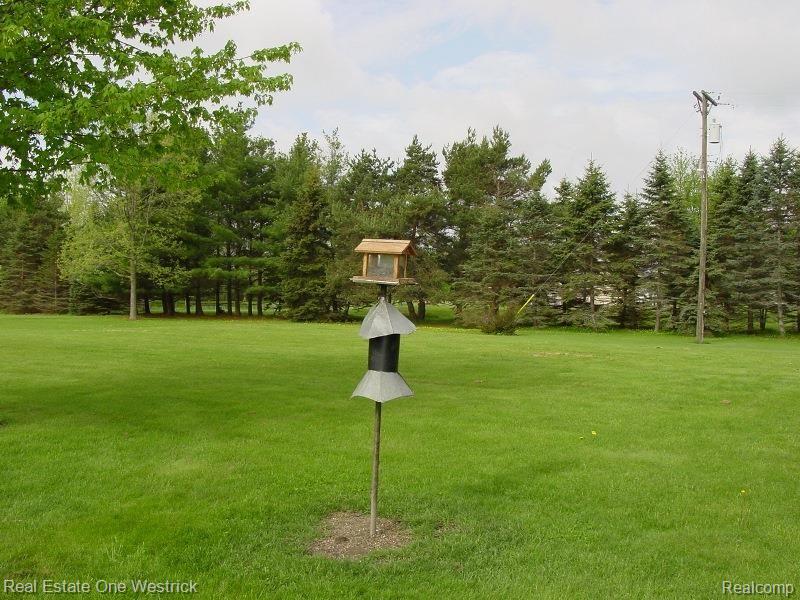 8393 Yale Road Avoca, MI 48006 - Photo 34 of 36