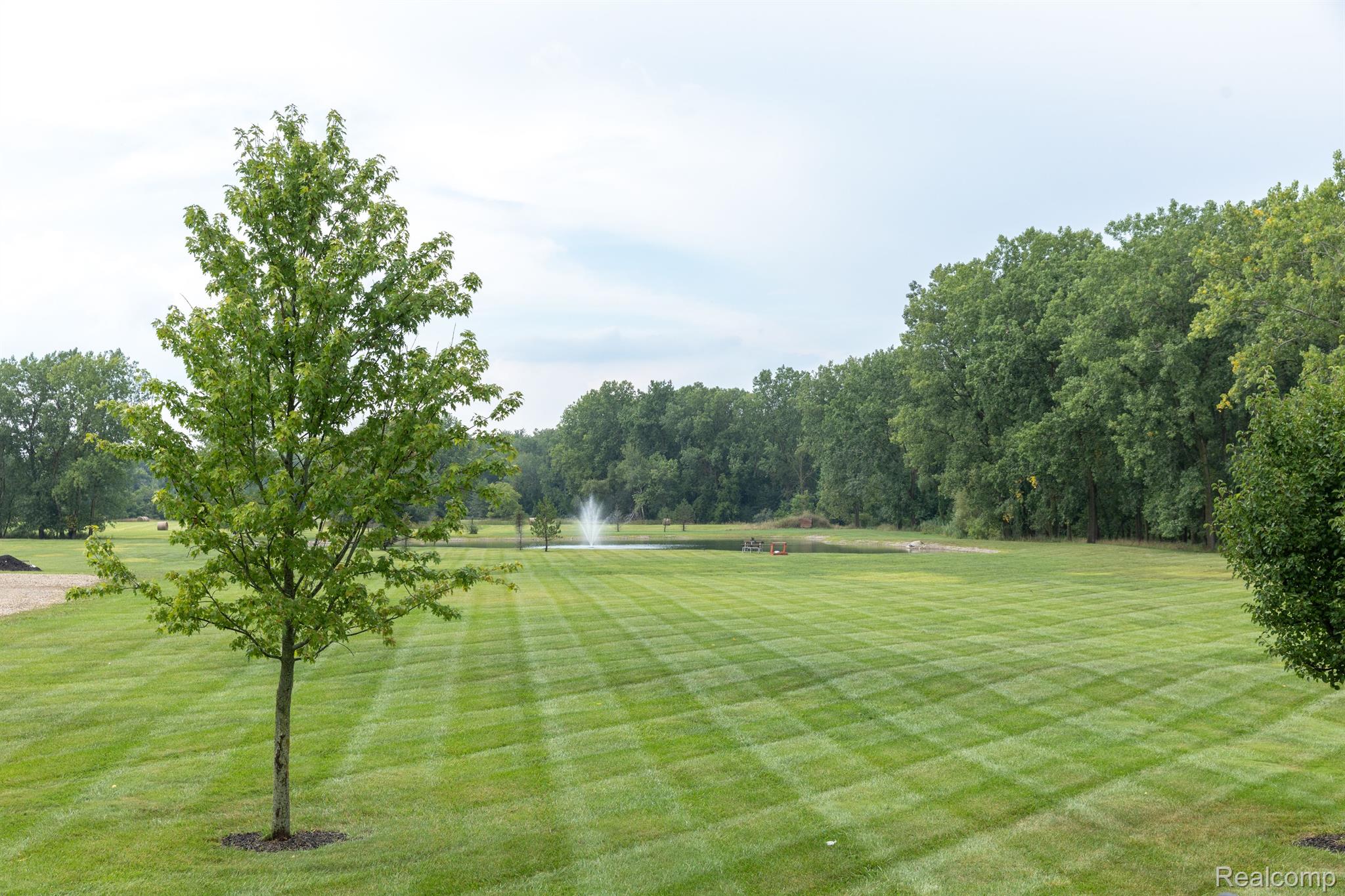 5559 Cade Road Imlay City, MI 48444 - Photo 89 of 98 Manicured lawn