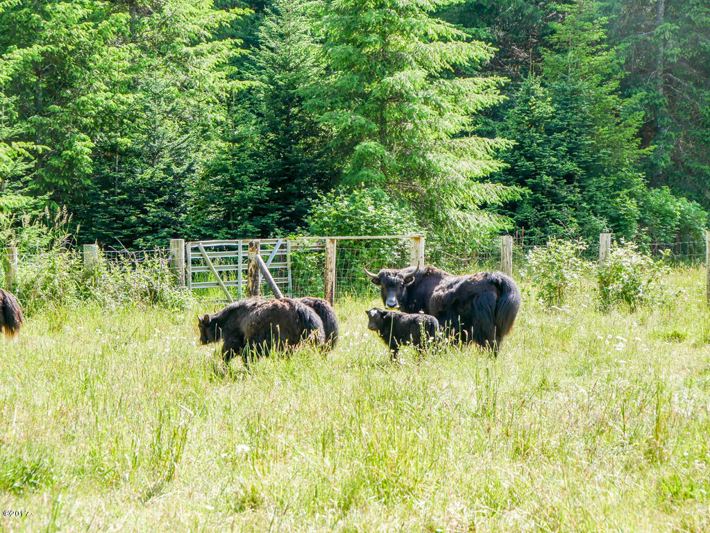 847 Hamer Road Siletz, OR 97380 - Photo 70 of 79 Owner's Yaks