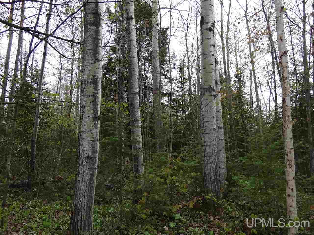 37296 Beck Road Ontonagon, MI 49953 - Photo 24 of 26 Gallery Image 24