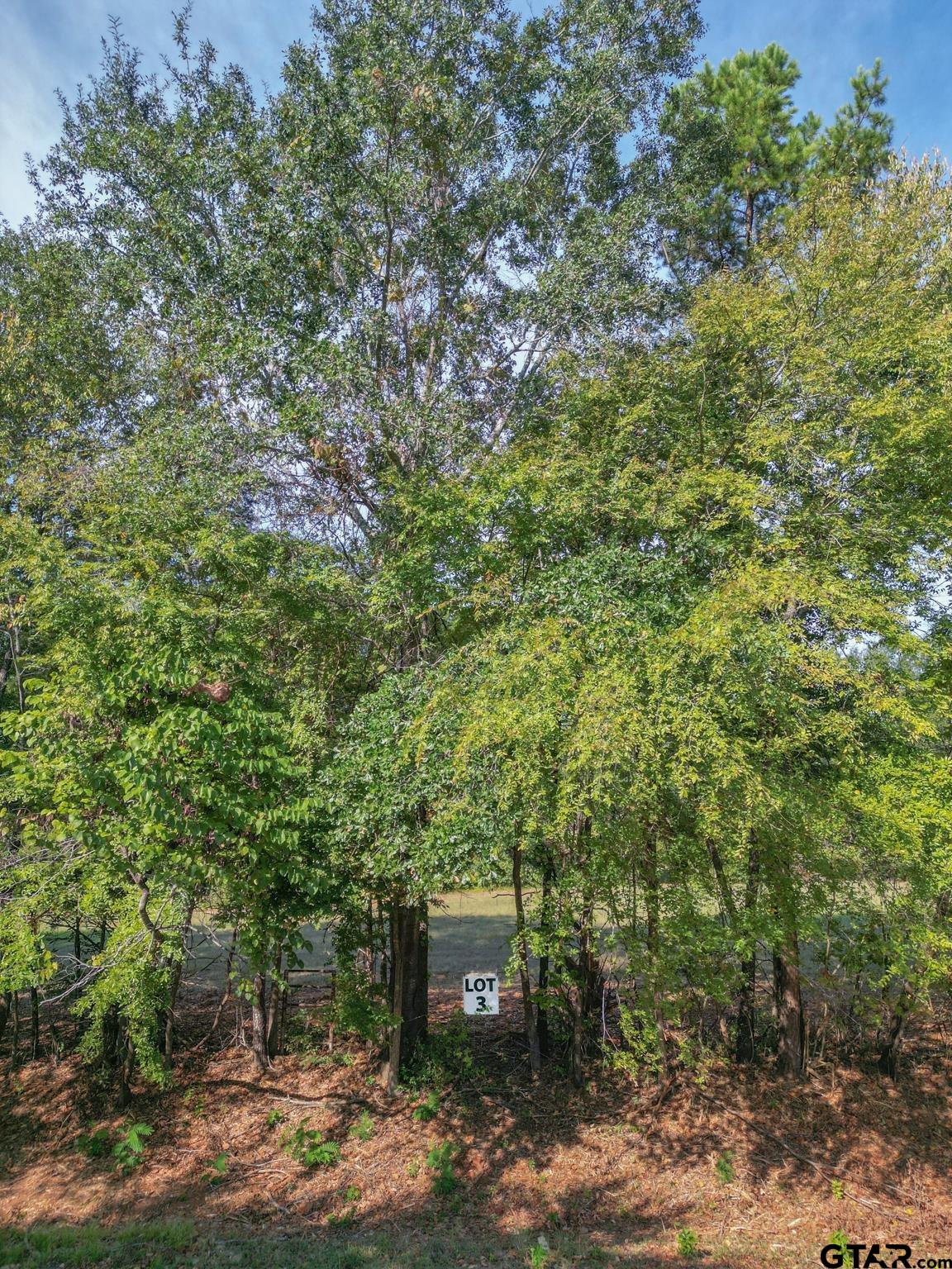 Lot 3 Willingham Road Whitehouse, TX 75791 - Photo 3 of 12 Gallery Image 3