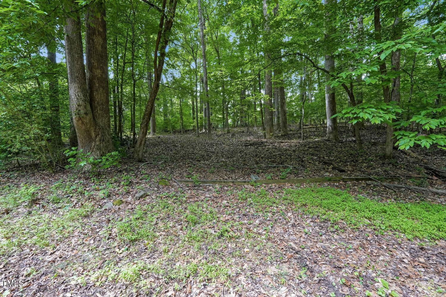 4272 Boyd Wright Road Burlington, NC 27215 - Photo 31 of 38 LOTS of woods to enjoy and creek down below