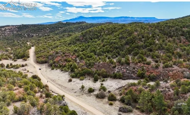 a view of a field with an ocean