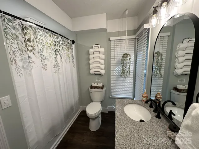 a bathroom with a double vanity sink toilet mirror and vanity