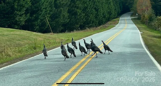 $474,900 | 630 Shumont Road, Black Mountain, NC 28711