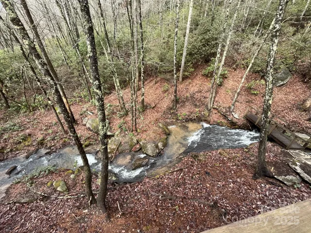 a view of a yard with a tree