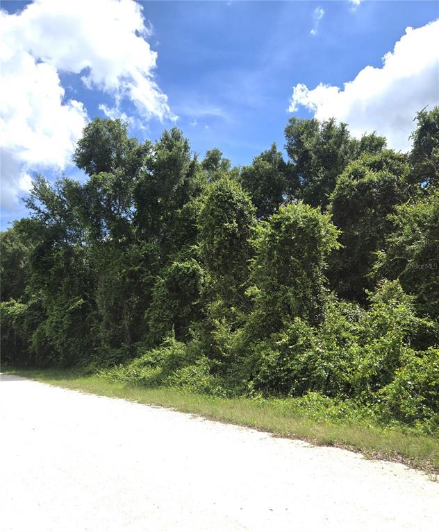 Alloy Street Webster, FL 33597 - Photo 5 of 7