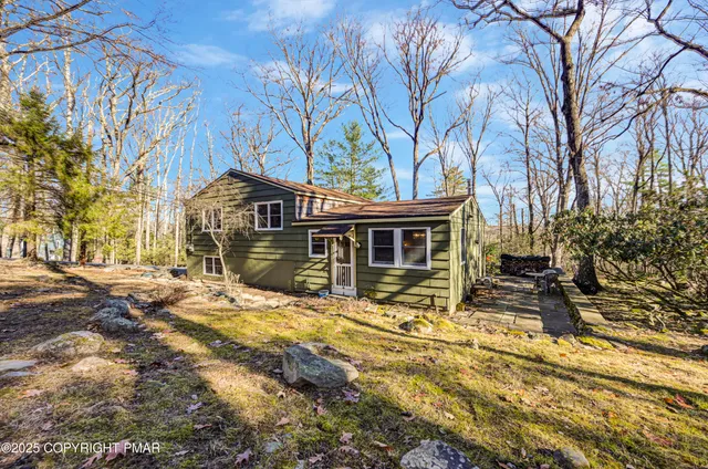 a view of a park with large trees