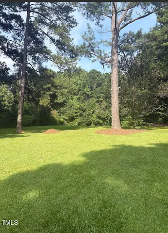 a view of yard with large tree