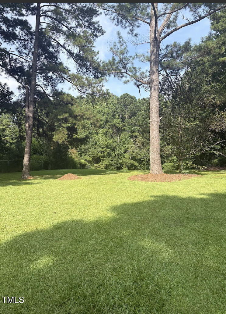 10329 Fanny Brown Road Raleigh, NC 27603 - Photo 4 of 11 a view of yard with large tree