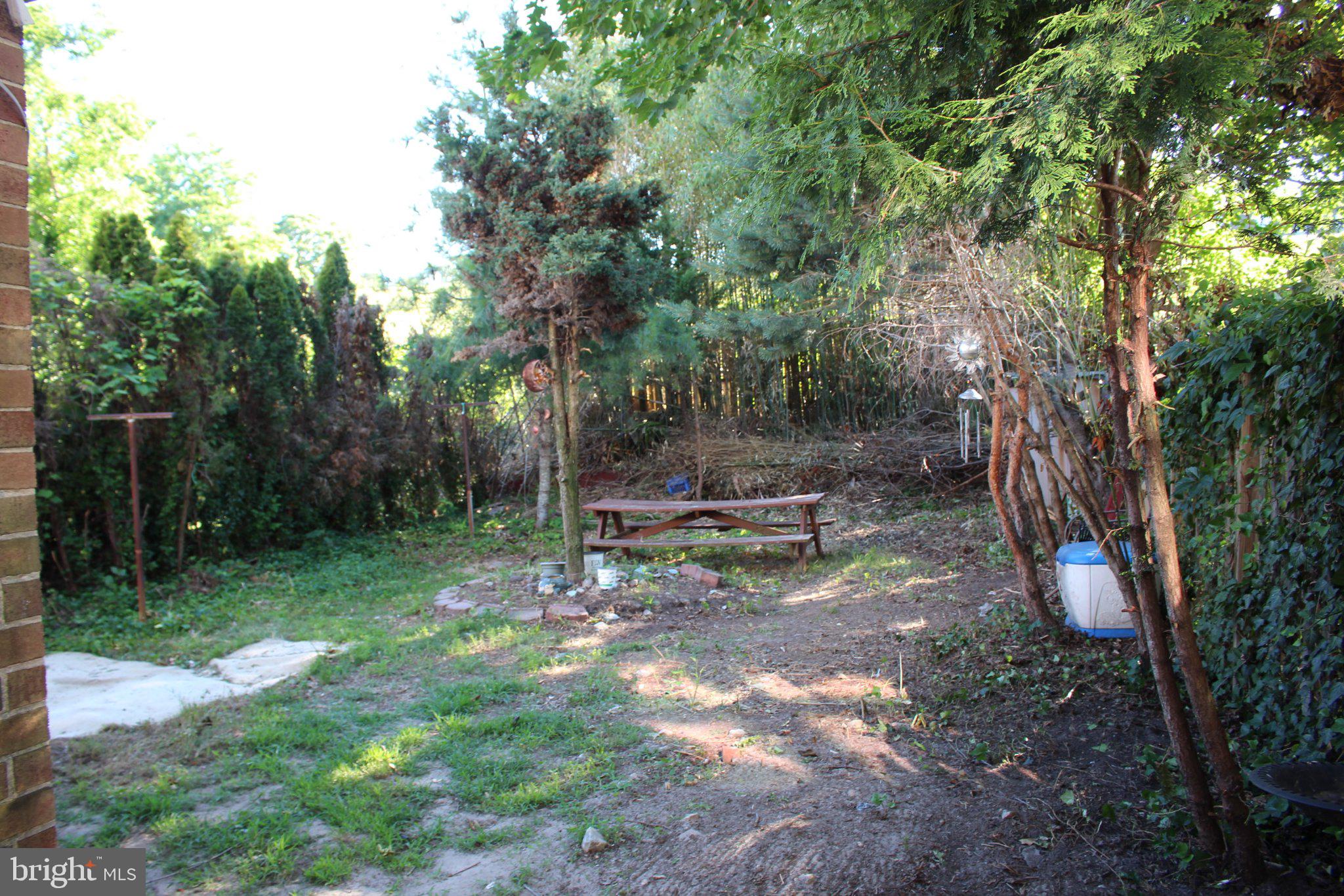 146 Oakmont Road Clementon, NJ 08021 - Photo 33 of 61 Serene garden retreat awaits revival.