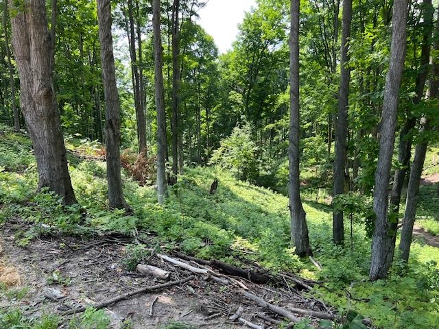 2205 Devlin Road Central Lake, MI 49622 - Photo 52 of 58 Gallery Image 52