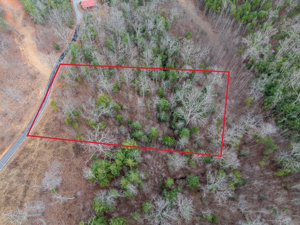Lot 63 Lake Wood Road Murphy, NC 28906 - Photo 4 of 28
