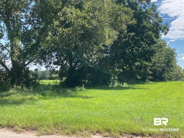500-block Jordan Road Flomaton, AL 36441 - Photo 2 of 12