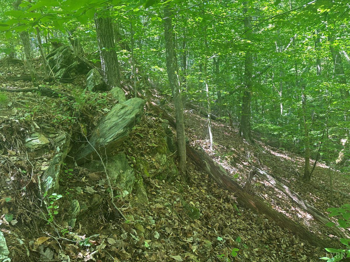 0 Jones Overlook Howardsville, VA 24562 - Photo 20 of 31