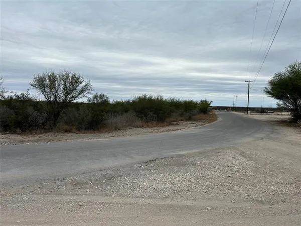 a view of a rural road with plants