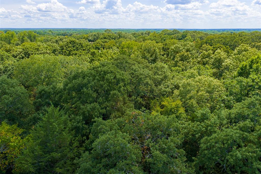 11748 River Ranch Road Kemp, TX 75143 - Photo 18 of 40 Gallery Image 18