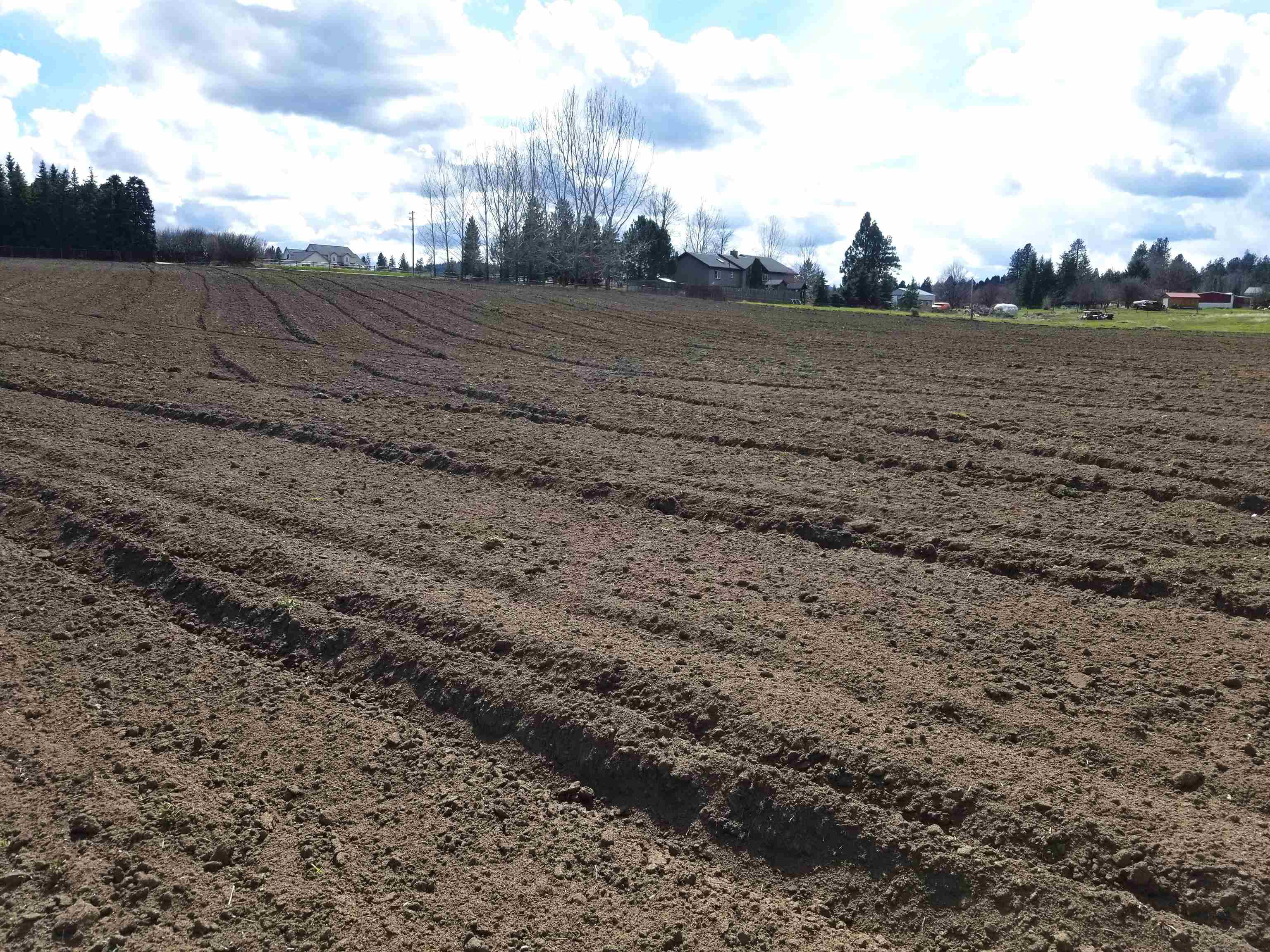 Unassigned South Unassigned S Rodeo/32nd Road Greenacres, WA 99016 - Photo 1 of 8 Gallery Image 1