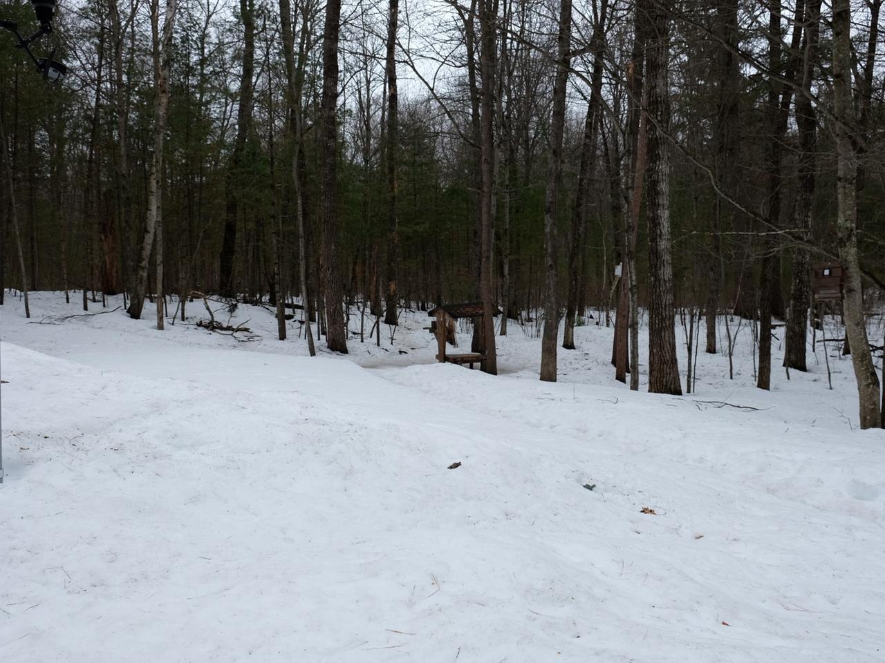 6460 Pigeon Road Lake Tomahawk, WI 54539 - Photo 20 of 21 Gallery Image 20