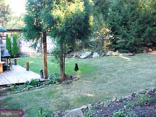 793 A Mount Road Aston, PA 19014 - Photo 5 of 6