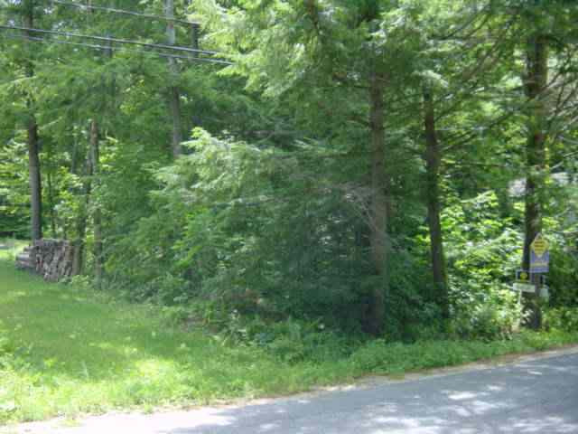 0 Kathan Road Corinth, NY 12822 - Photo 1 of 3 Photo 1