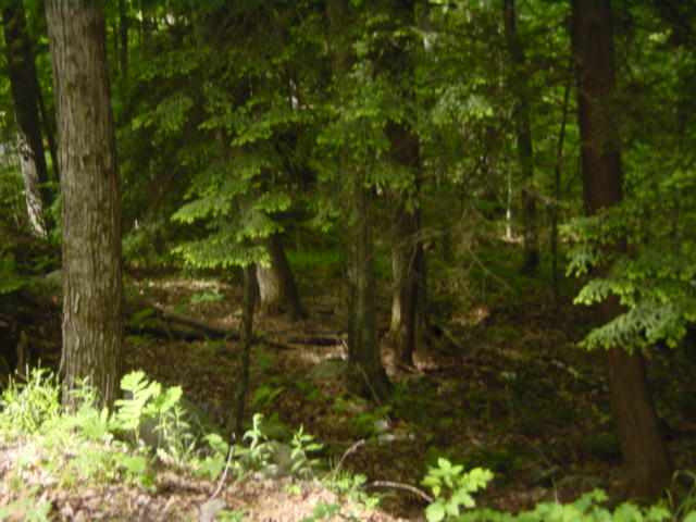 0 Kathan Road Corinth, NY 12822 - Photo 2 of 3 Photo 2