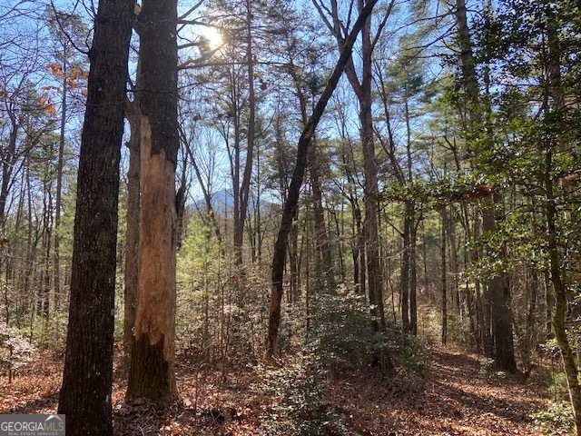 0 Whippoorwill Lane Cleveland, GA 30528 - Photo 11 of 39