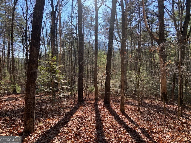 0 Whippoorwill Lane Cleveland, GA 30528 - Photo 12 of 39