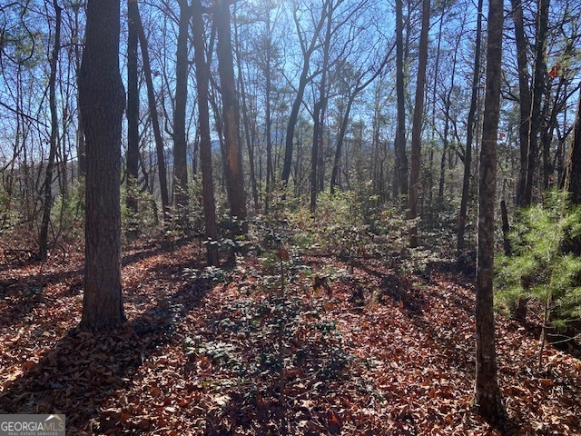 0 Whippoorwill Lane Cleveland, GA 30528 - Photo 13 of 39