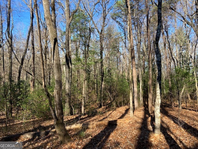 0 Whippoorwill Lane Cleveland, GA 30528 - Photo 14 of 39