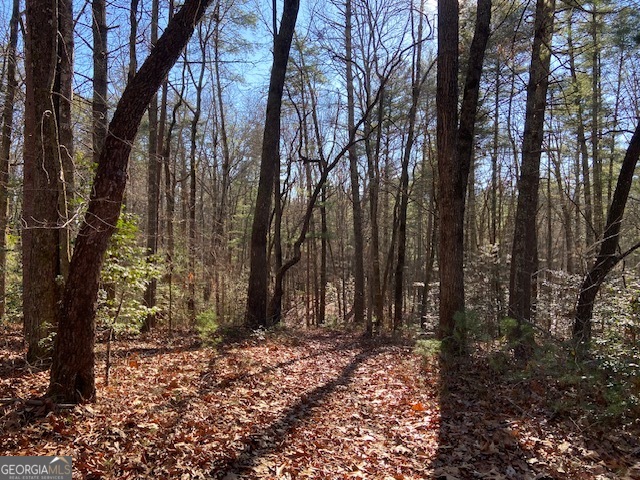 0 Whippoorwill Lane Cleveland, GA 30528 - Photo 15 of 39