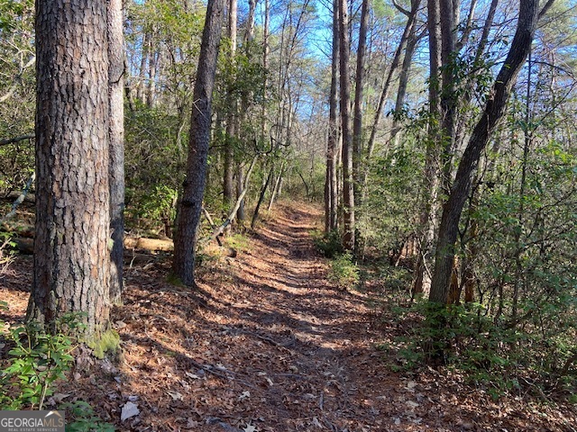 0 Whippoorwill Lane Cleveland, GA 30528 - Photo 16 of 39