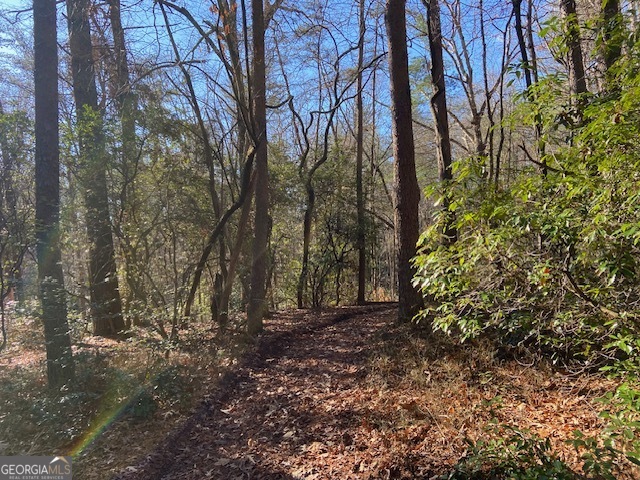 0 Whippoorwill Lane Cleveland, GA 30528 - Photo 17 of 39