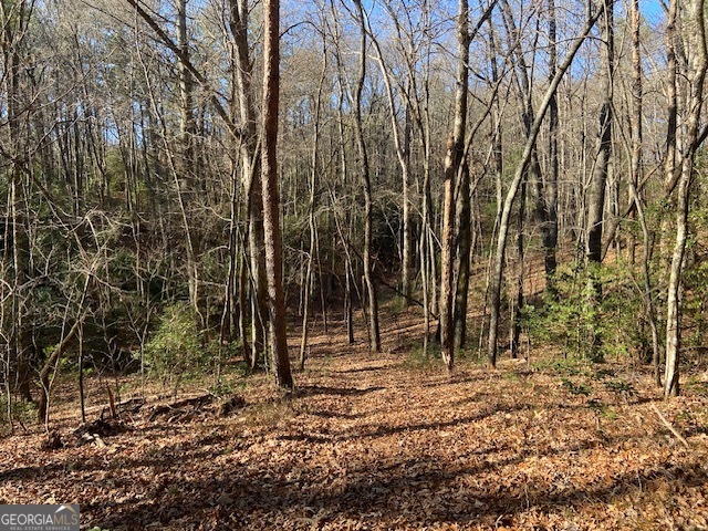 0 Whippoorwill Lane Cleveland, GA 30528 - Photo 18 of 39